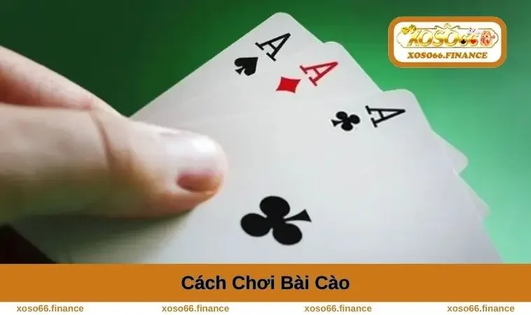 Cách Chơi Bài Cào - Hướng Dẫn Từ A đến Z Cho Người Mới 3 cach-choi-bai-cao
